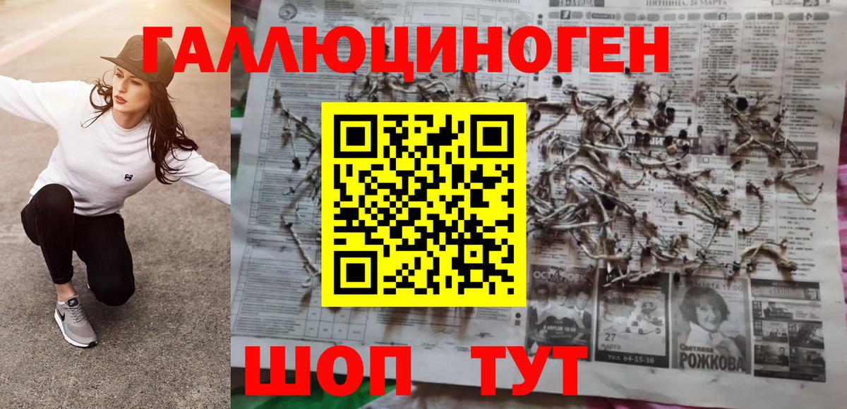 Галлюциногенные грибы Psilocybine cubensis  Псилоцибиновые грибы мицелий  Кашира  Вход с VPN 